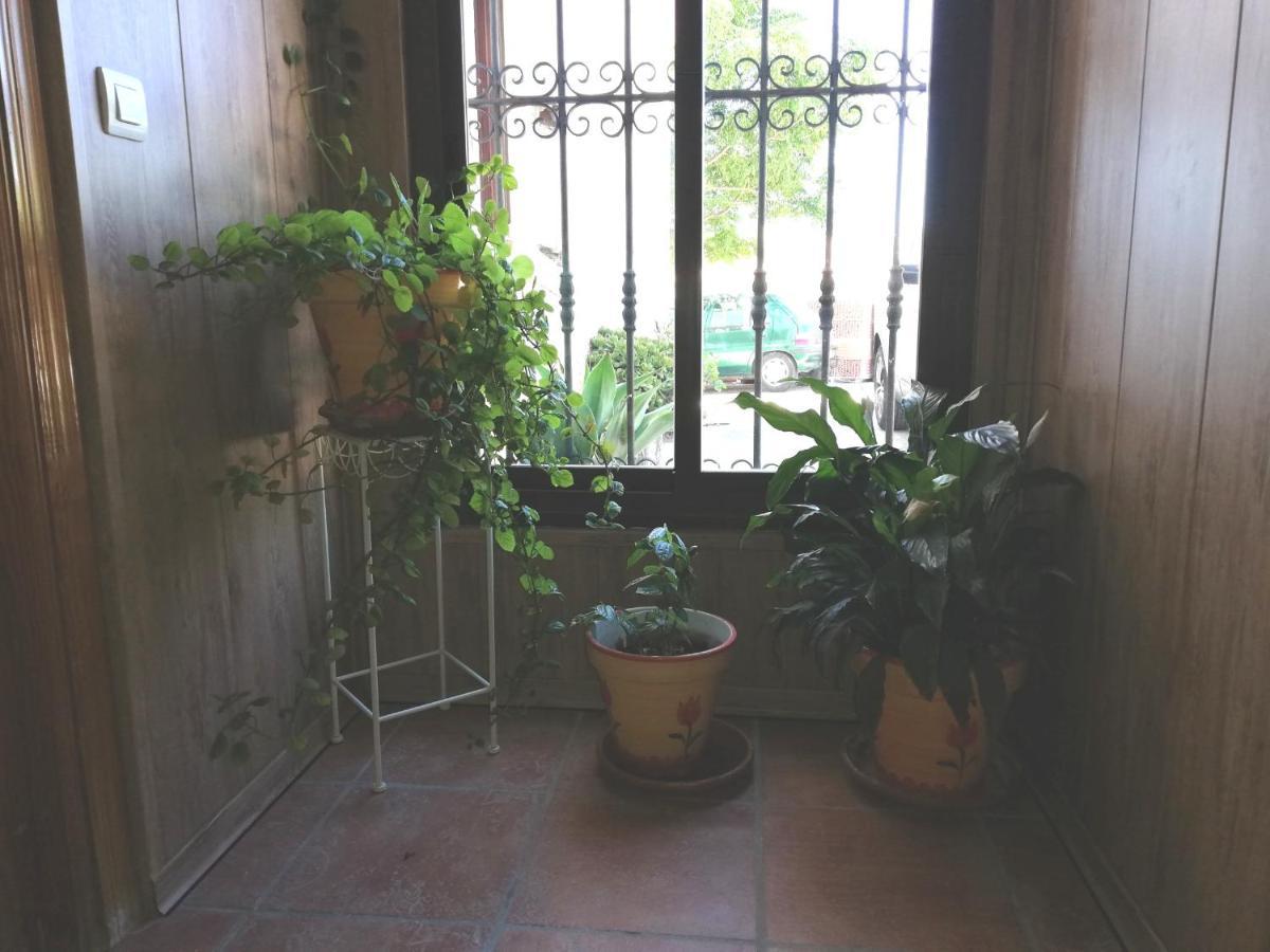 Hostal Brenaverde Gaucín Εξωτερικό φωτογραφία