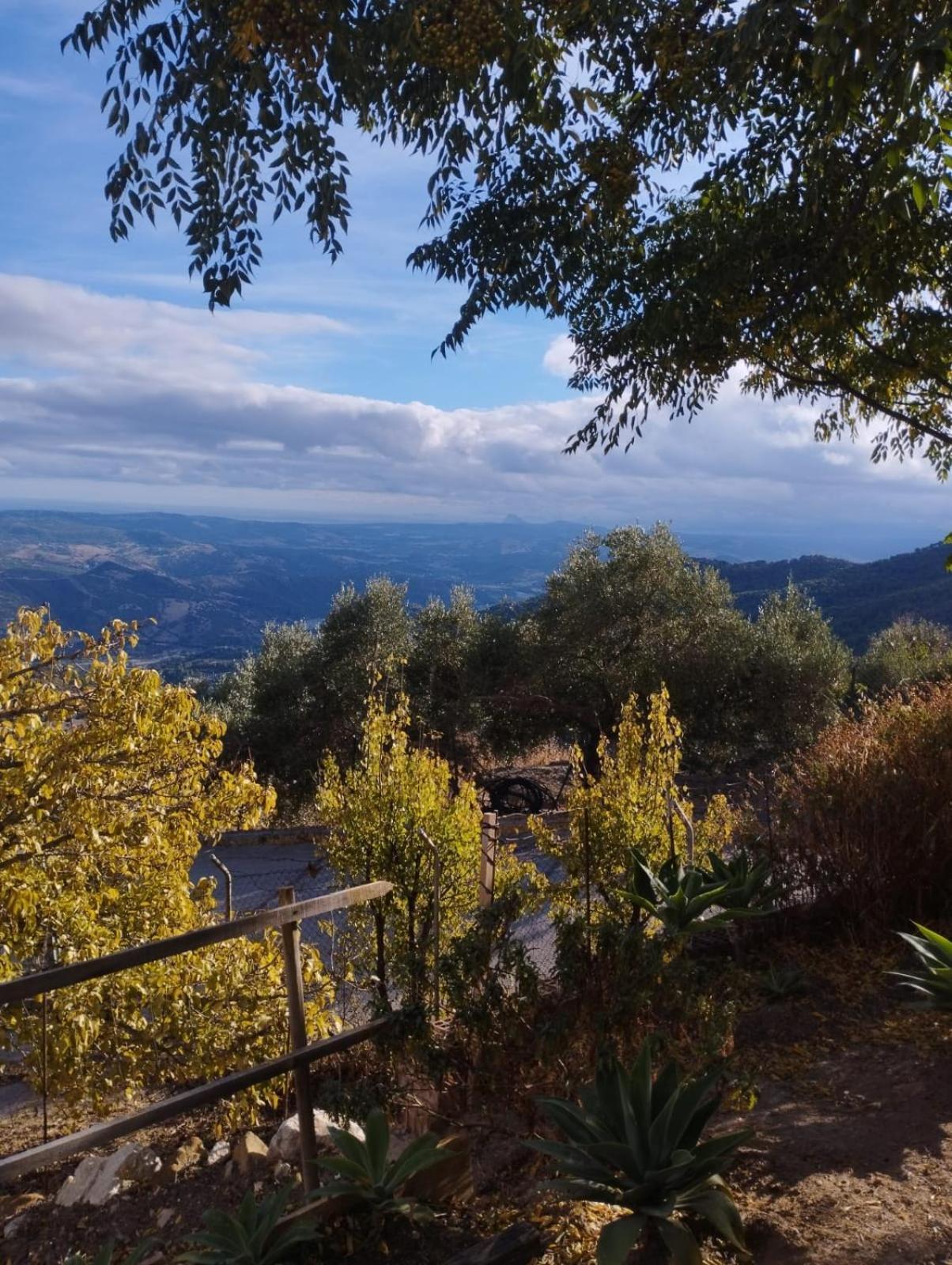 Hostal Brenaverde Gaucín Εξωτερικό φωτογραφία